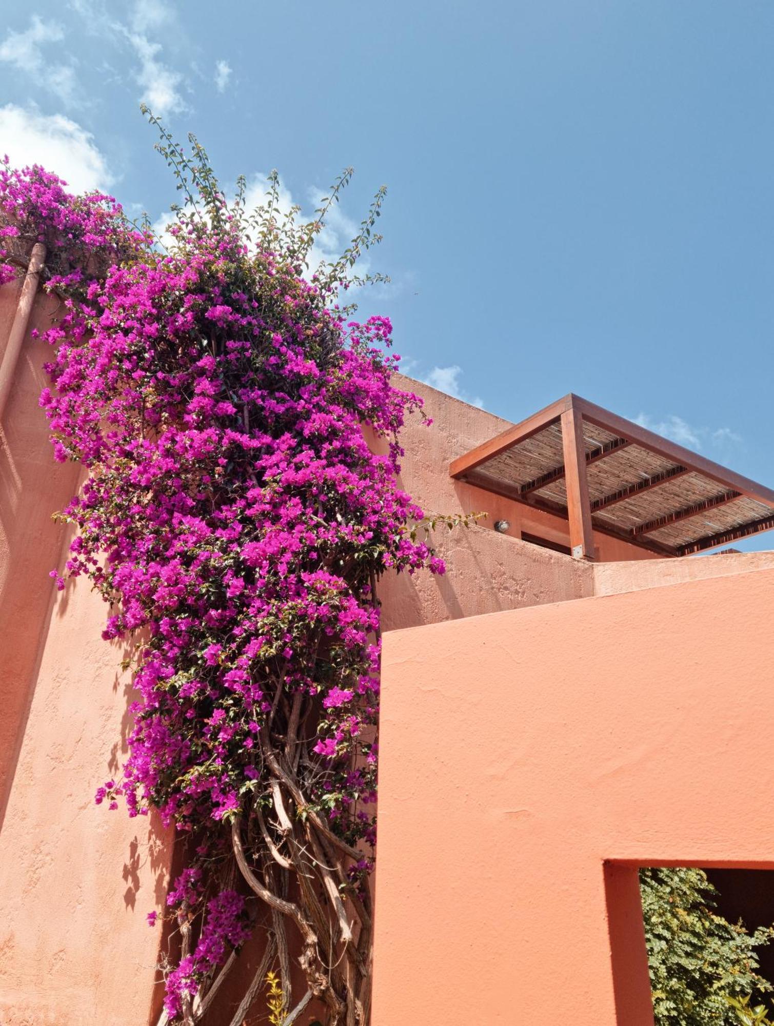 Koutouloufari Village Holiday Club Hersonissos  Exterior photo
